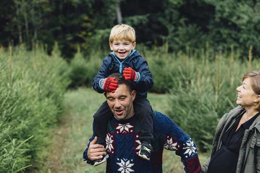 10 Best Christmas Tree Farms in Georgia!